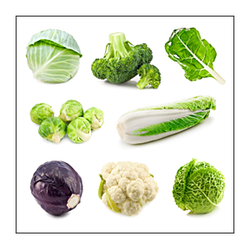 Image of Cabbage family